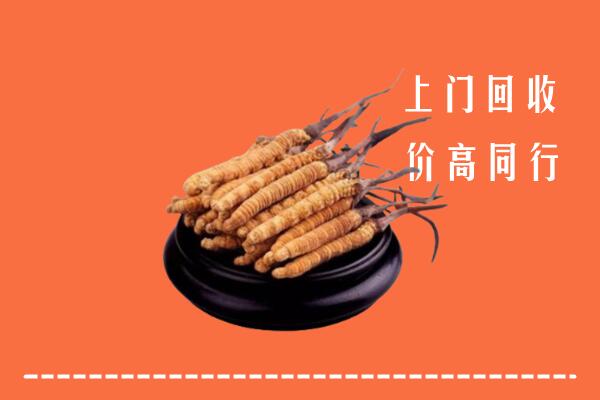 高价求购：亳州市蒙城回收散虫草