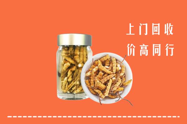 亳州市蒙城回收冬虫夏草